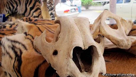 روایتی چینی دوا سازی: لیبارٹری میں تیار کردہ گوشت کا استعمال