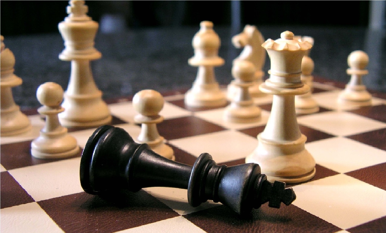 دو سال کی سمائرا نے شطرنج میں بنایا عالمی ریکارڈ