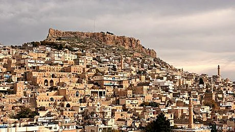 بیتھوون کی موسیقی پر خرمستیاں کرنے والے ترک بلدیہ کے گدھے
