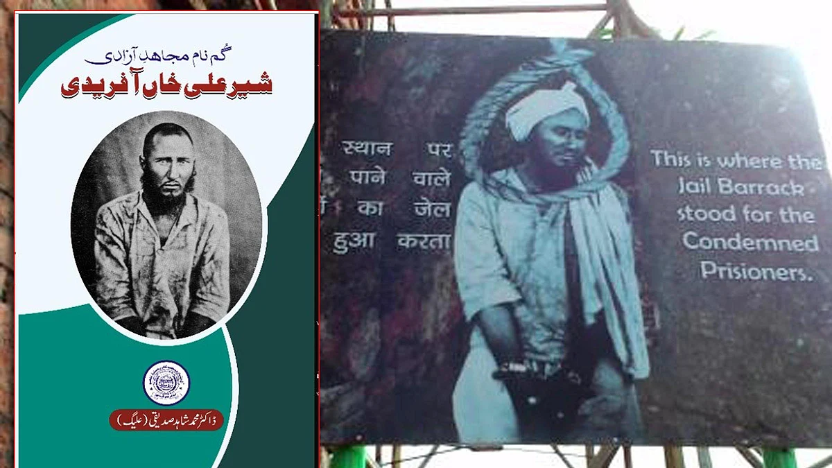 تجزیہ: گمنام مجاہد آزادی: شیر علی خاں آفریدی