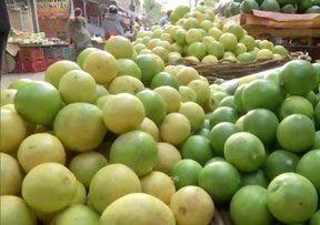 سری لنکا میں سبزیوں کی قیمتیں ساتویں آسمان پر، لیکن لیموں کی قیمت ہندوستان سے کم