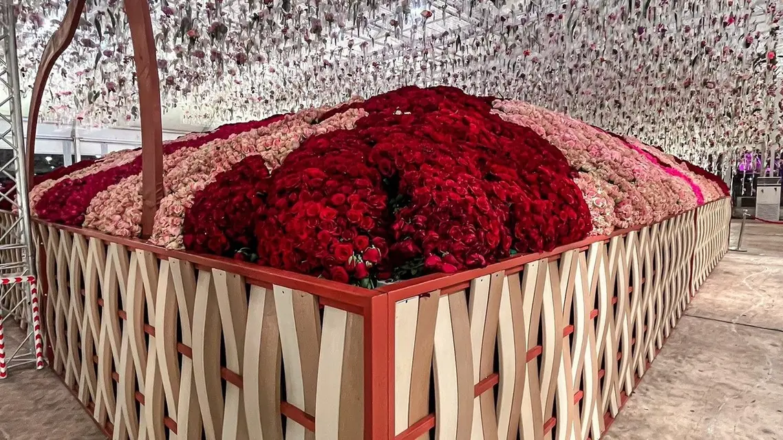 تصویر العربیہ ڈاٹ نیٹ