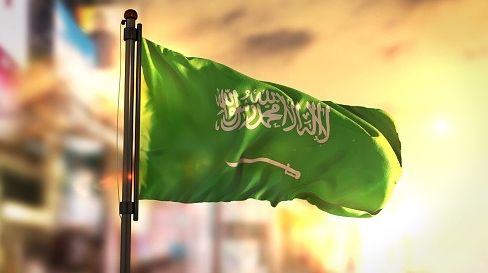 فائل تصویر آئی اے این ایس
