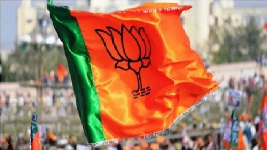 بی جے پی کا پرچم، تصویر آئی اے این ایس