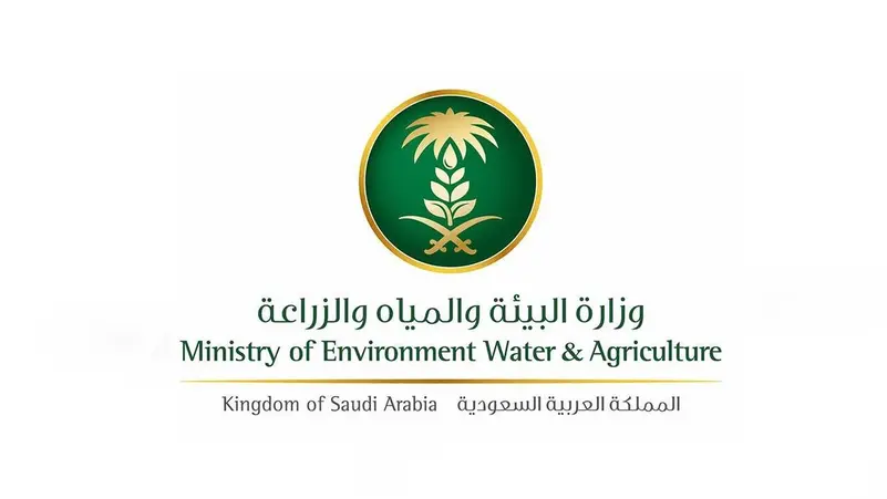 حج 2022: قربانی ذبیحہ کرنے کے لیے آن لائن بکنگ شروع، سعودی وزارت ماحولیات