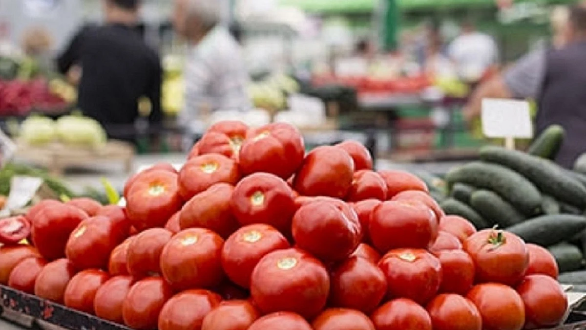 ٹماٹر، علامتی تصویر آئی اے این ایس