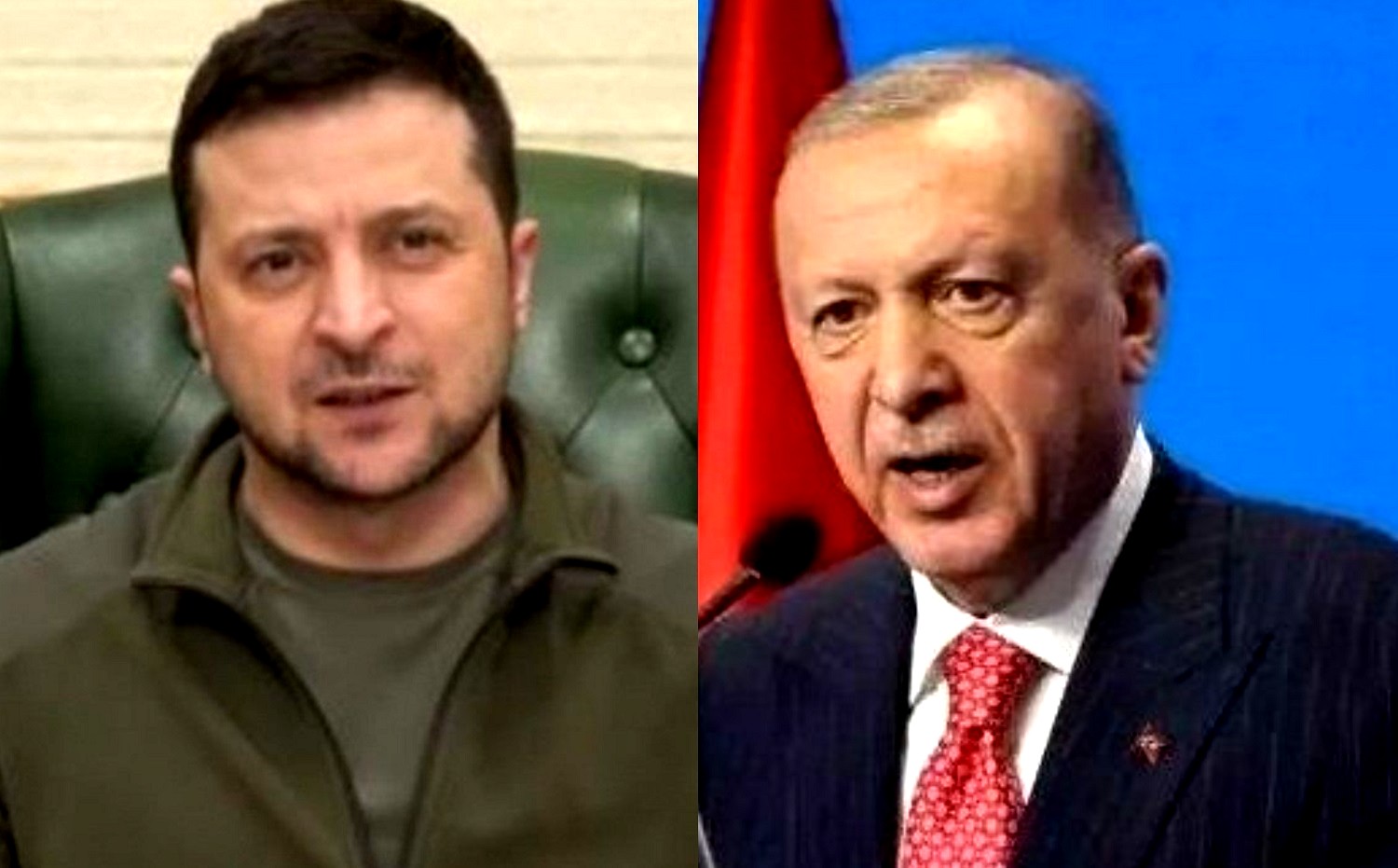 اردوغان، زیلنسکی نے اناج کی برآمد کے معاہدے پر کیا تبادلہ خیال