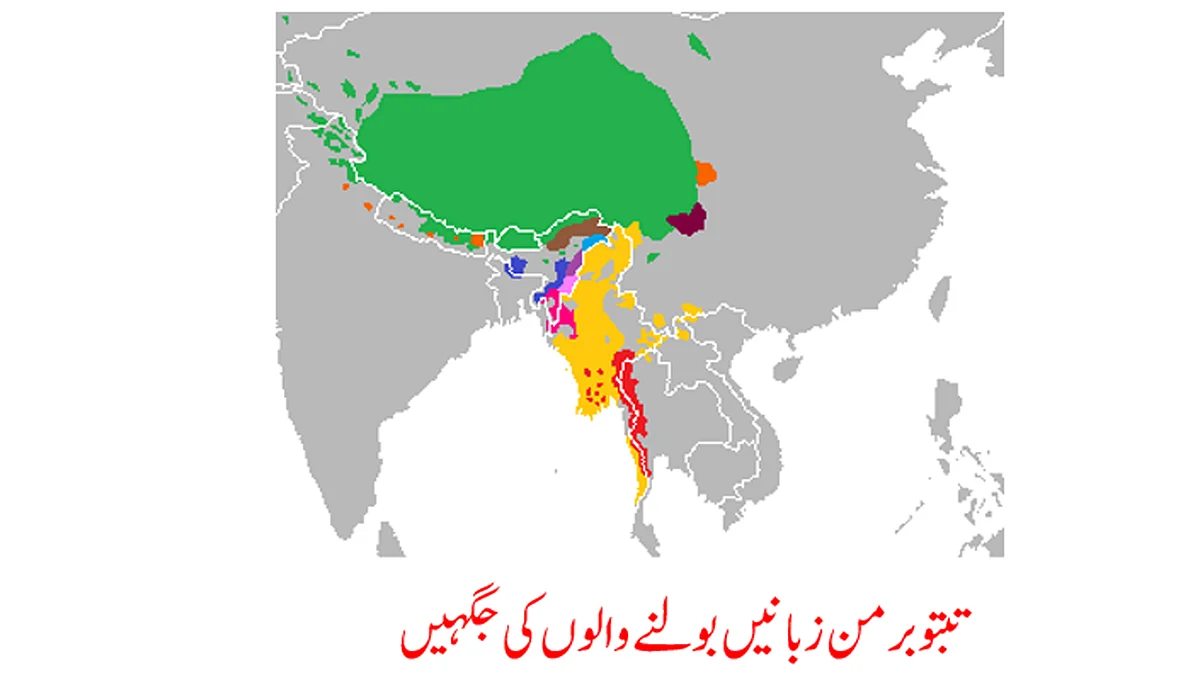 ہم کہاں سے آے: آرین سے پہلے اور کون ہندوستان آیا، زبان کی کہانی... وصی حیدر