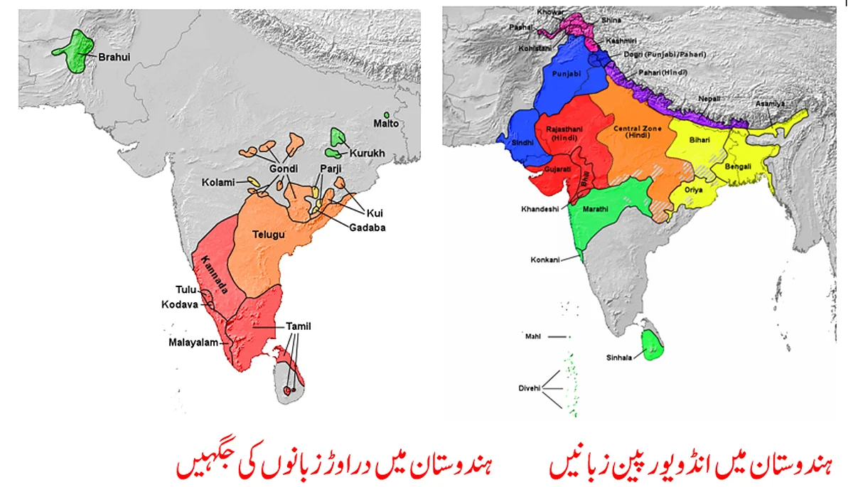 ہم کہاں سے آے: آرین سے پہلے اور کون ہندوستان آیا، زبان کی کہانی... وصی حیدر