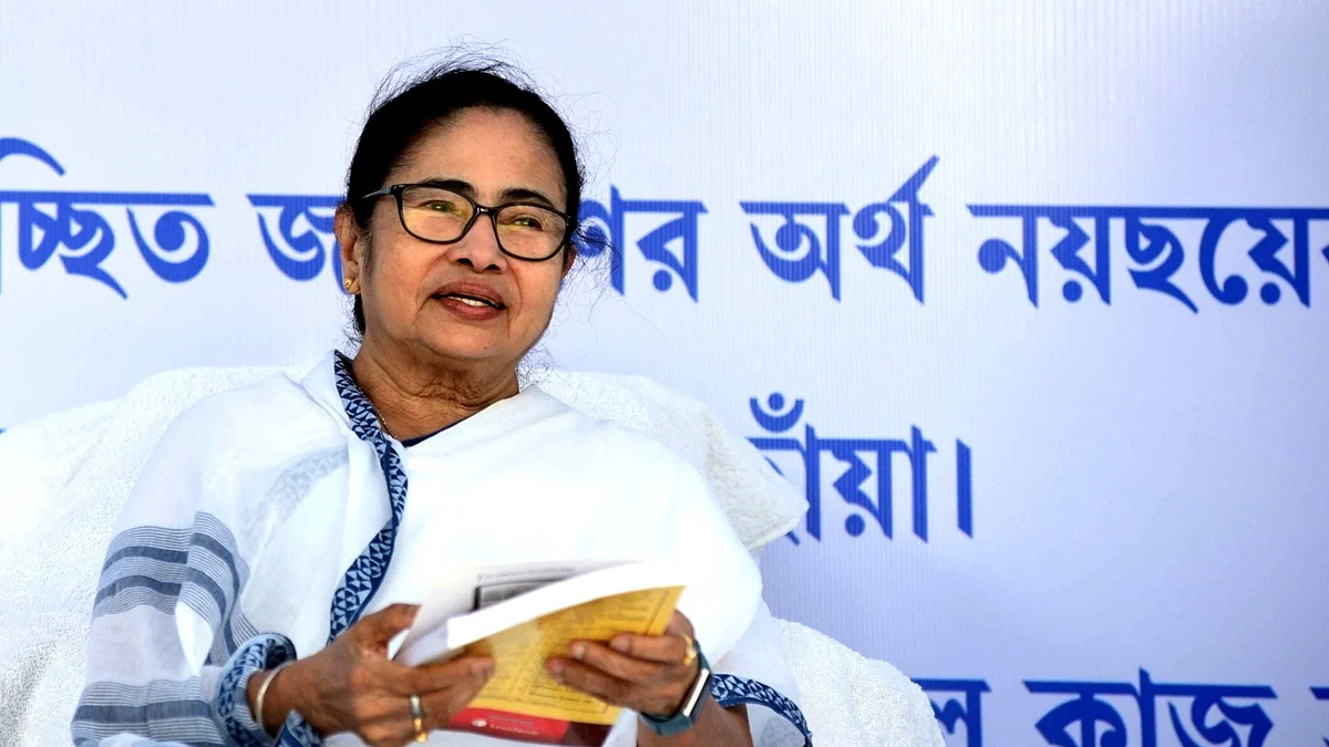 <div class="paragraphs"><p>ممتا بنرجی، تصویر آئی اے این ایس</p></div>