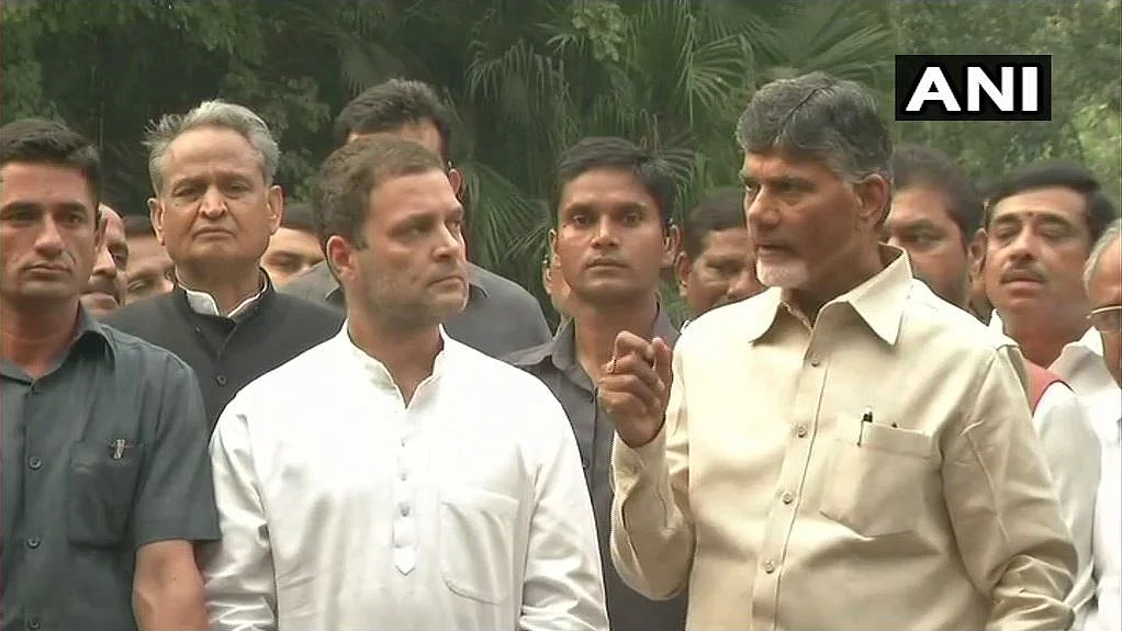 राहुल गांधी और चंद्रबाबू नायडू साथ-साथ