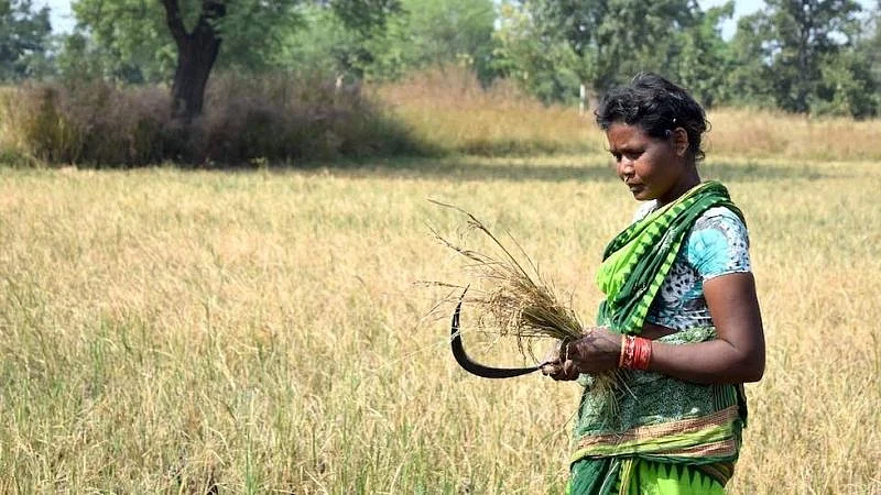 बजट 2019 में किसानों के लिए क्या है खास?