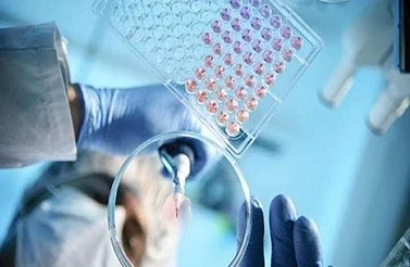 वुहान में पाक छात्रों की मदद के लिए पूरी कोशिश करें अधिकारी:इमरान