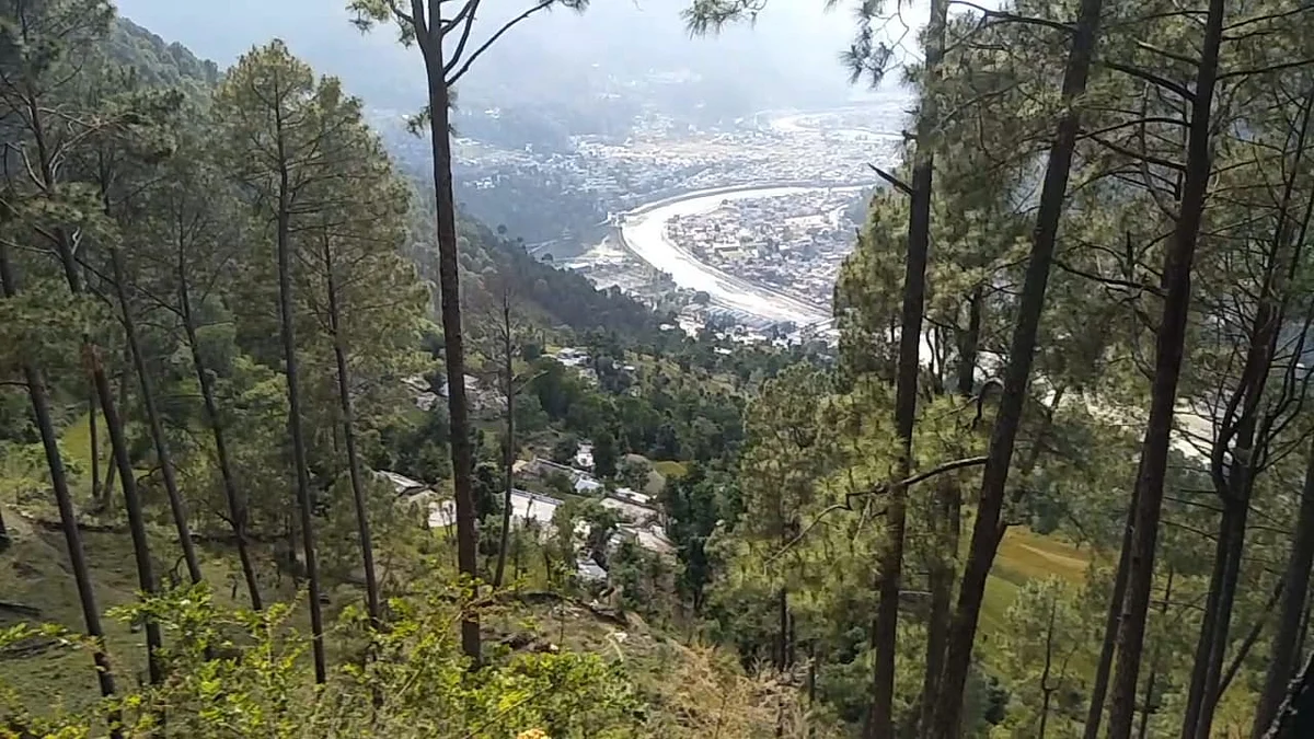 निराकोट गांव के हालत तो ये है कि यहां तक पहुंचने के लिए 3 किमी का रास्ता घने जंगल से होकर गुजरता है.