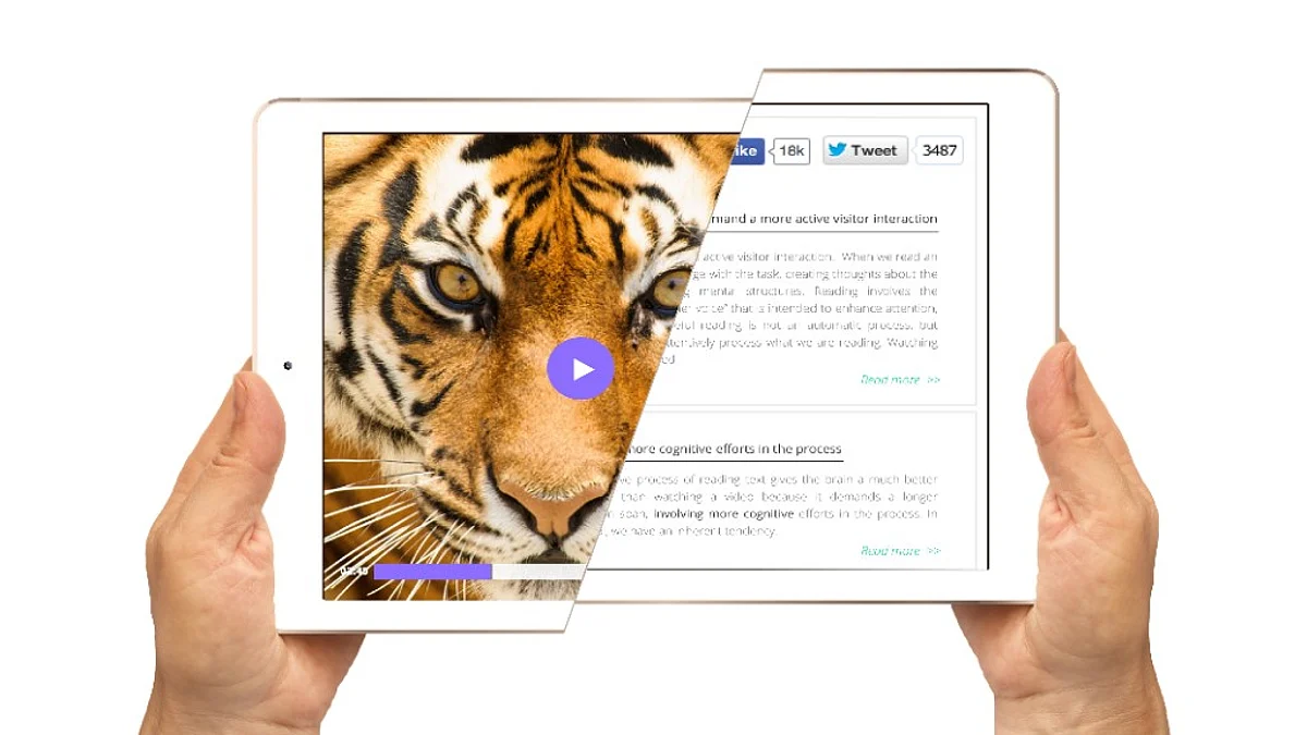 Text or video? Invest effectively in your content