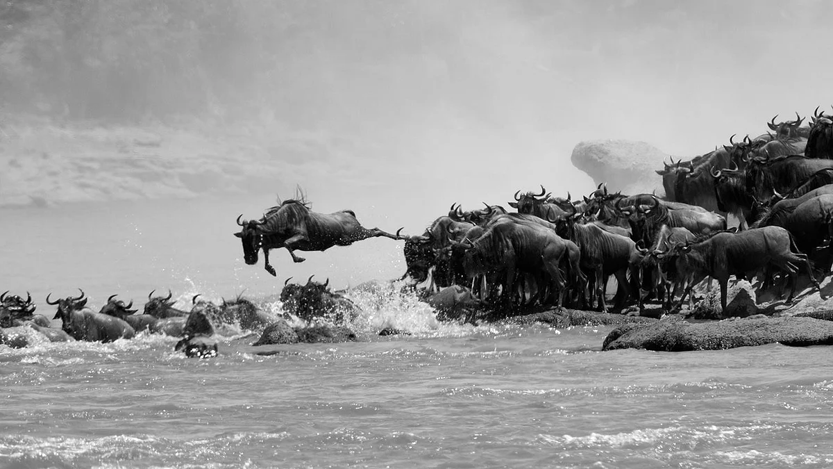 Migrating Your Website to the Quintype CMS