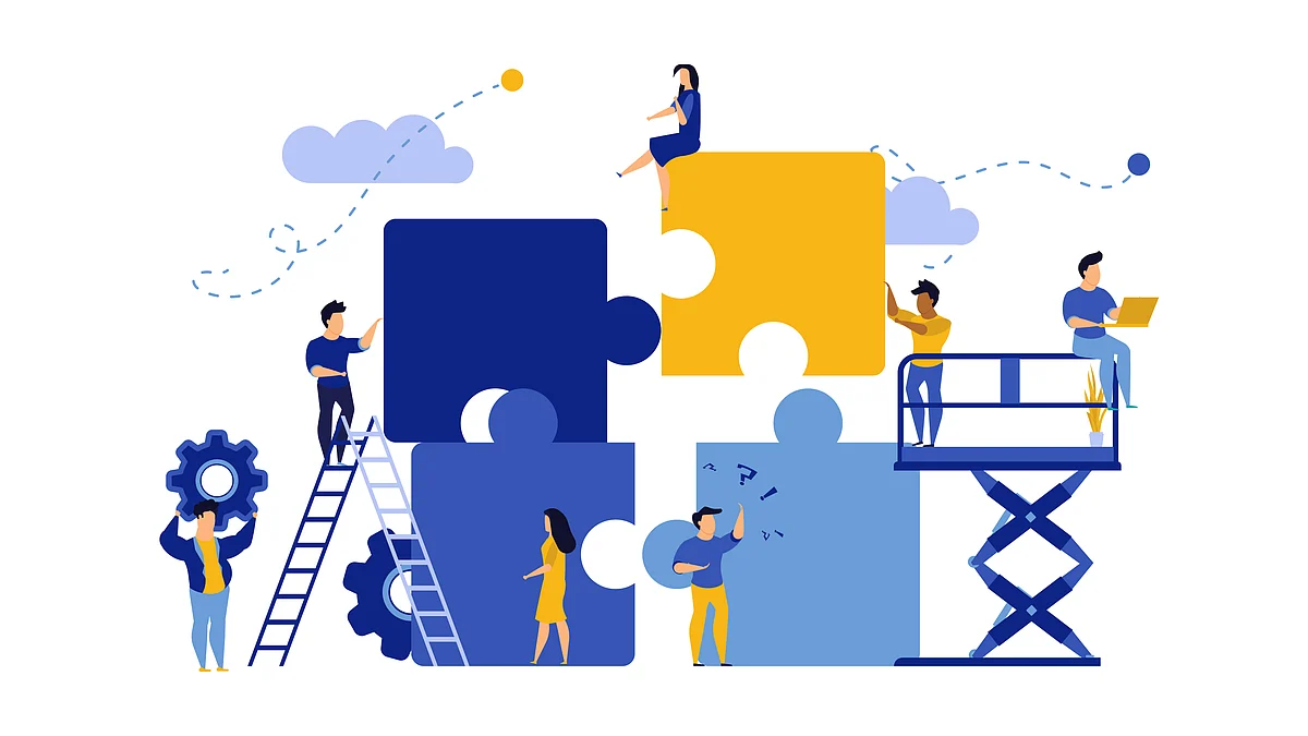 Comparison Guide : Bold and WordPress