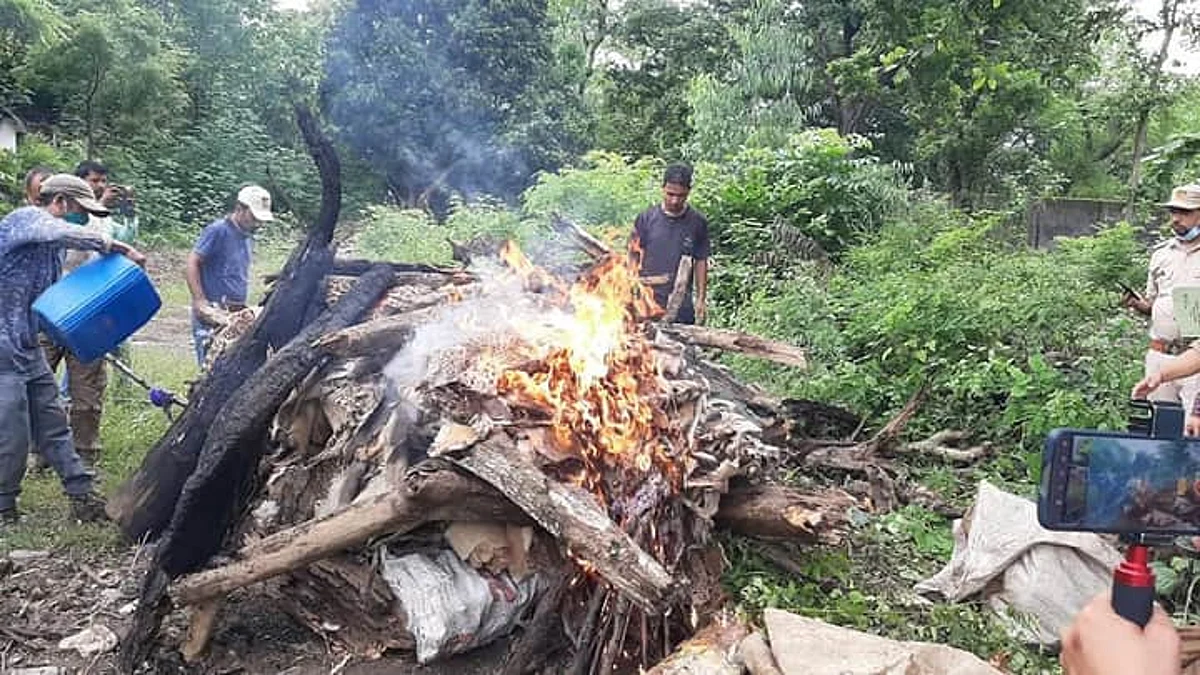 कॉर्बेट पार्क में जलाई गईं जब्तशुदा खालें और वन्यजीवों के अंग