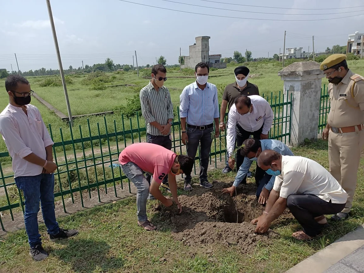 कठुआ के वार्ड़ 19 में वन महोत्सव पर वृक्षारोपण किया