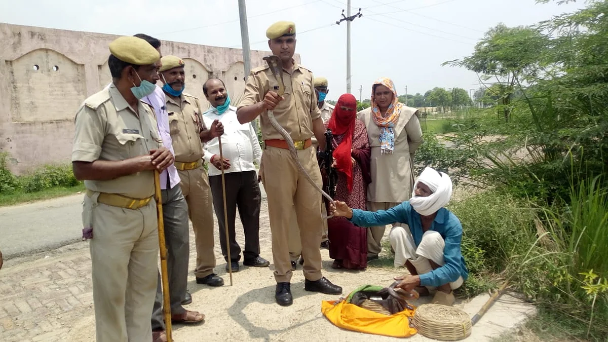 औरैया : एडीएम ने नाग पंचमी पर नाग-नागिन के जोड़े को कराया सपेरों से मुक्त