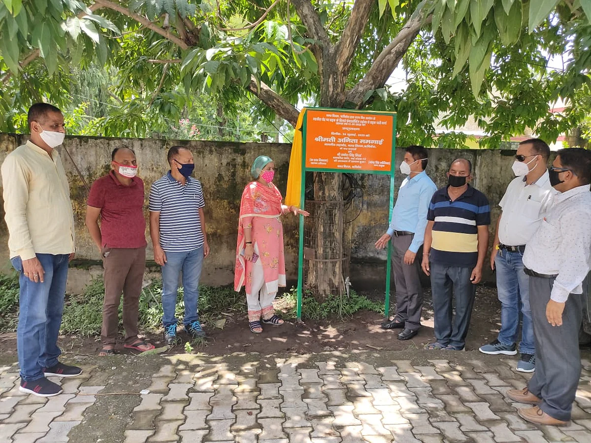 मेयर ने किया विकास कार्यों का उद्घाटन