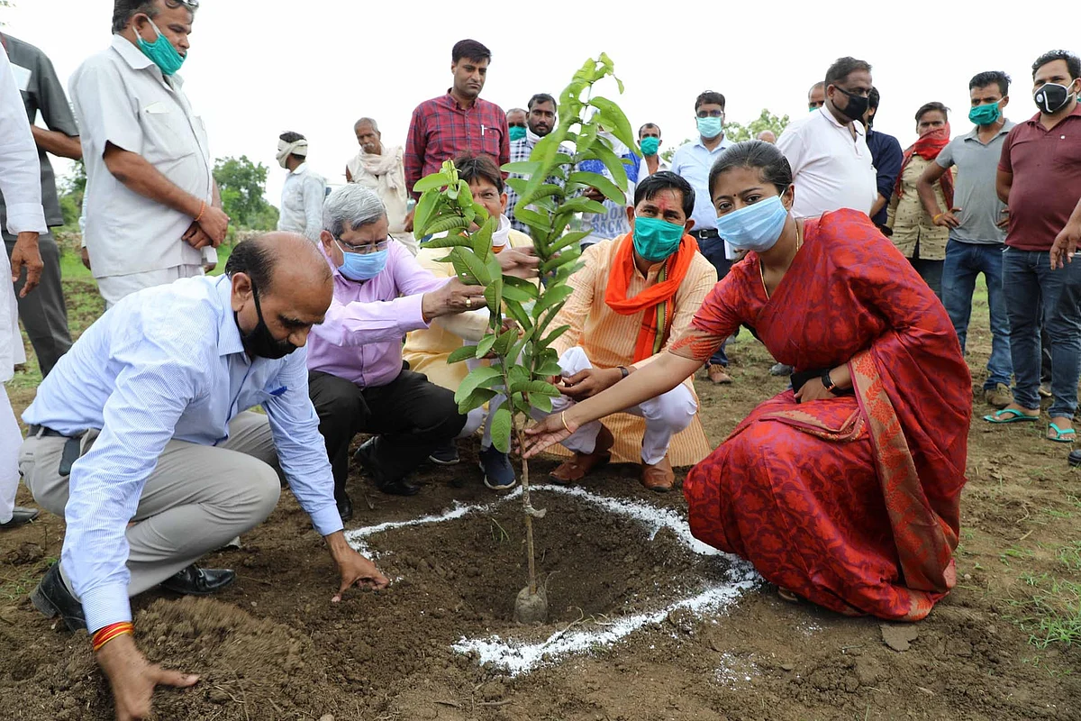 राज्यमंत्री धाकड़ ने किया पौधारोपण
