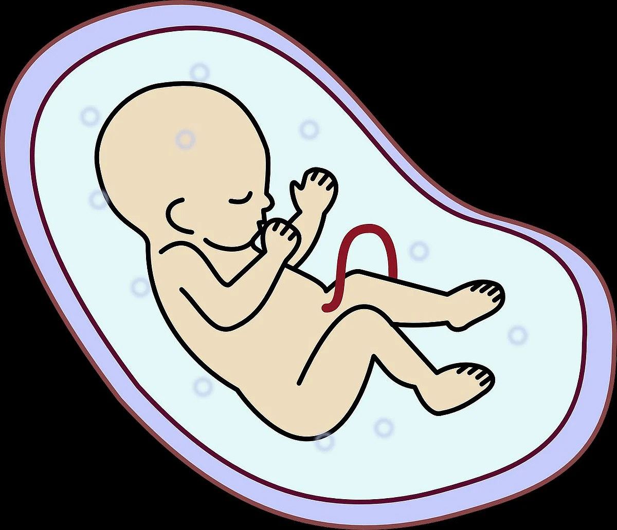 सपने में गर्भपात देखने का मतलब - Dream Of Miscarriage Meaning