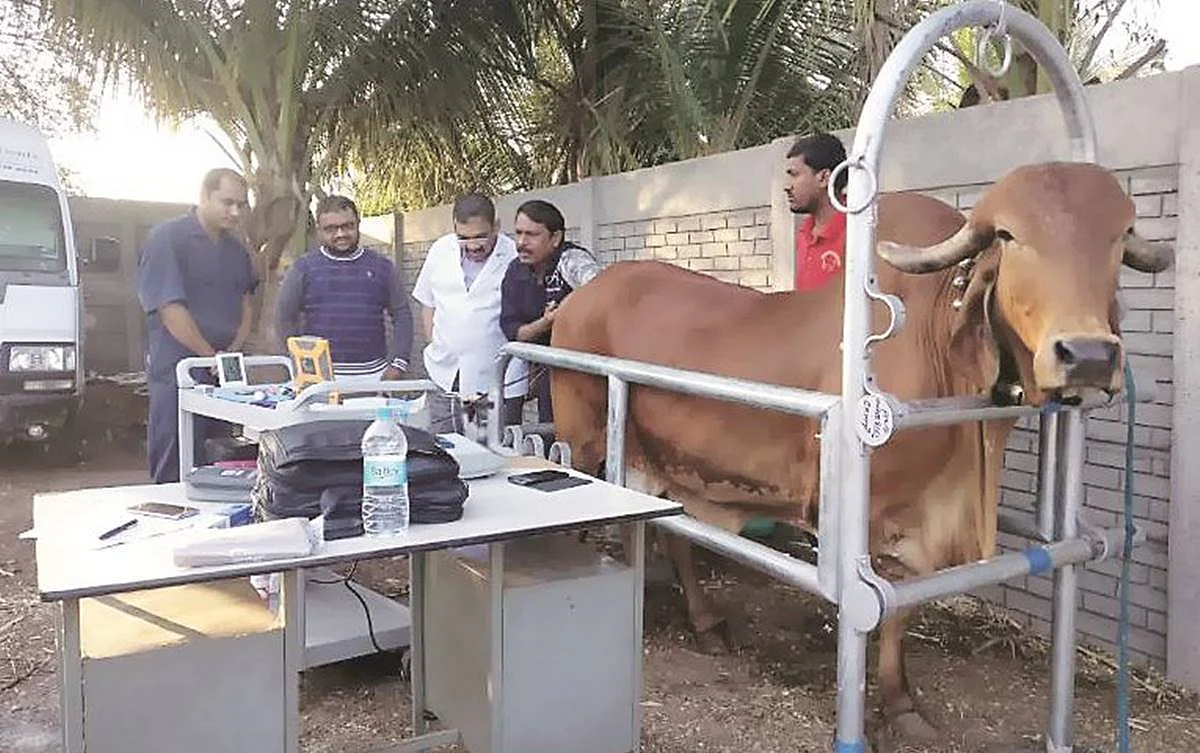 प्रधानमंत्री की महत्वाकांक्षी योजना से बिहार बनेगा नए श्वेत क्रांति का नायक
