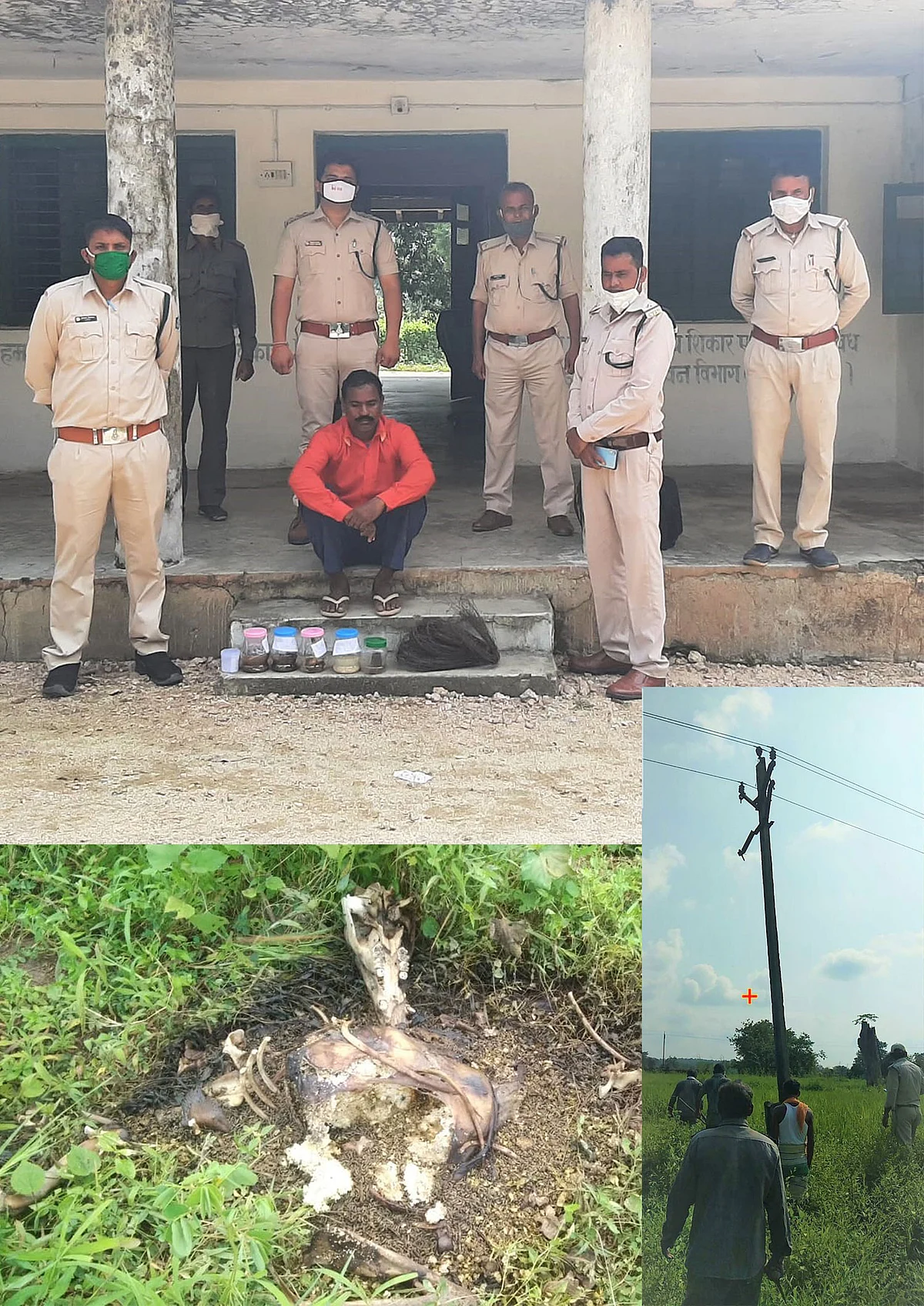 वनक्षेत्र से लगे खेत में जीआई तार से करंट लगाकर वन्यजीव को मारने वाला पहुंचा जेल