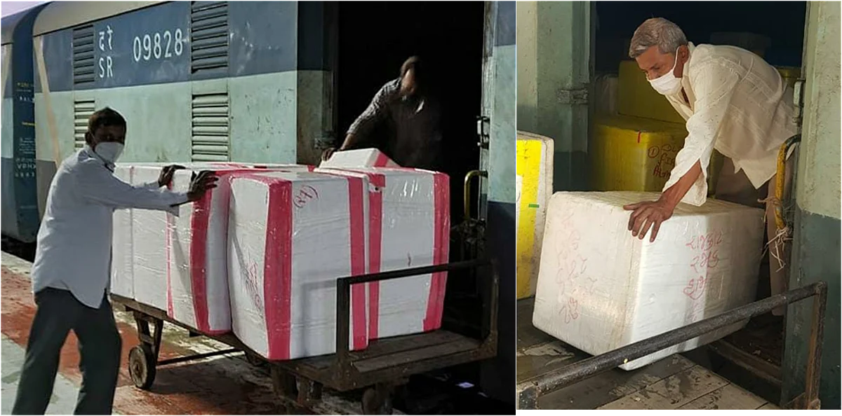 पश्चिम रेलवे ने लॉकडाउन के दौरान 1008 पार्सल विशेष ट्रेनों का परिचालन किया