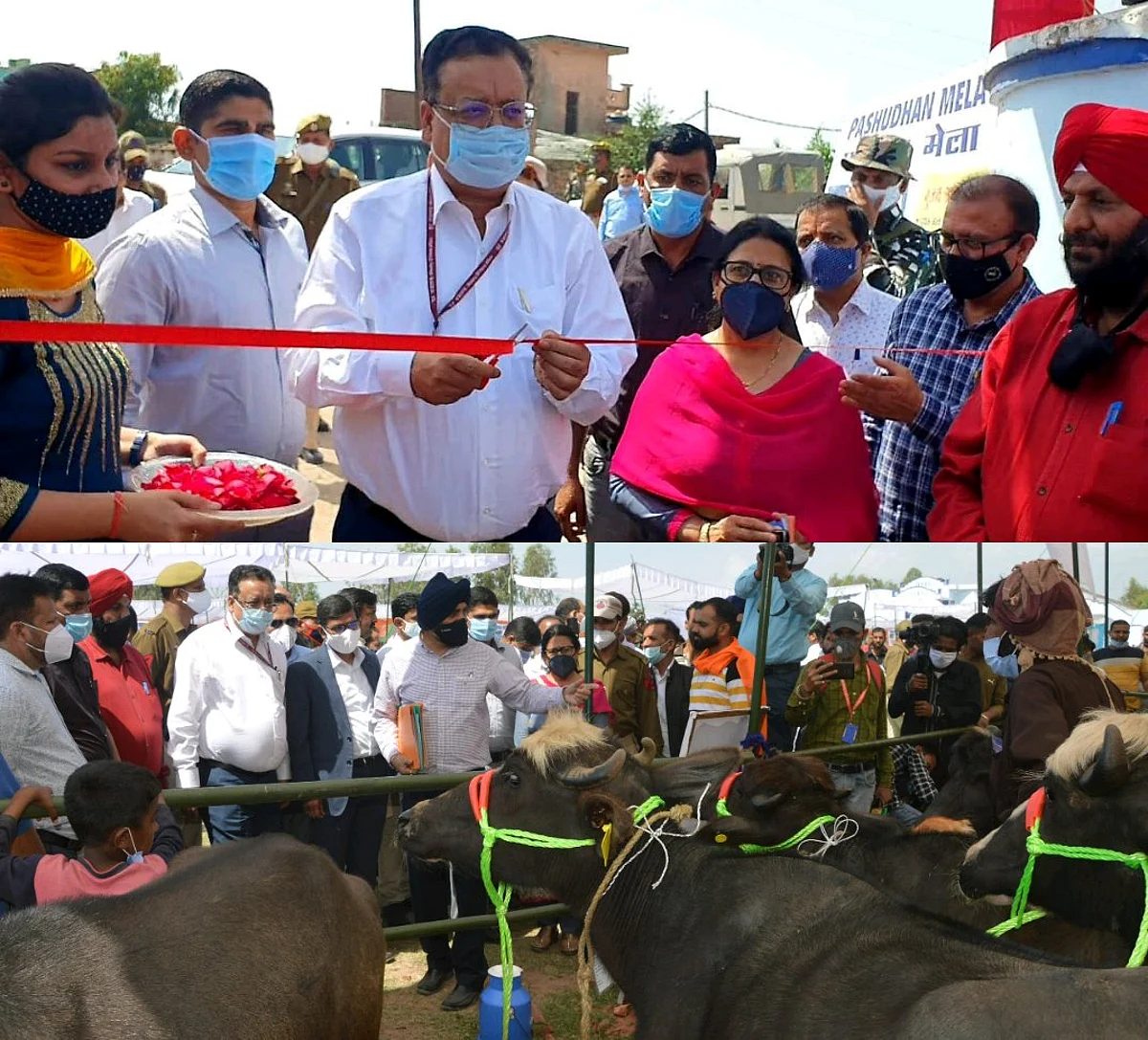नवीन चैधरी ने तहसील मुख्यालय नगरी परोल में किया ’पशुधन मेले’ का उद्घाटन किसानों और पशुपालकों को नवीनतम मवेशियों की नस्लों के बारे में शिक्षित करना है मुख्य उद्देश्य! नवीन चैधरी