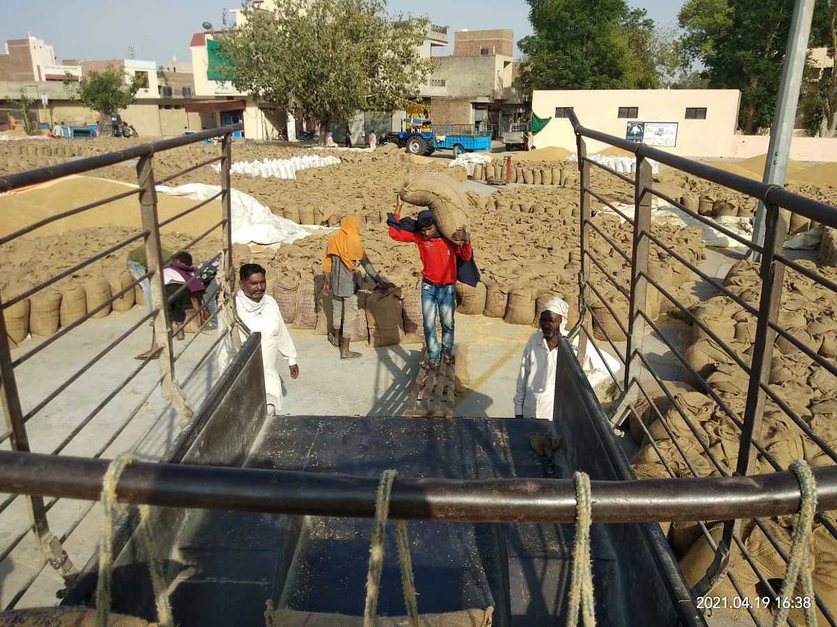 जिले में हुई अब तक 1,12,261 मीट्रिक टन गेहूं की हुई खरीद: अपनीत रियात