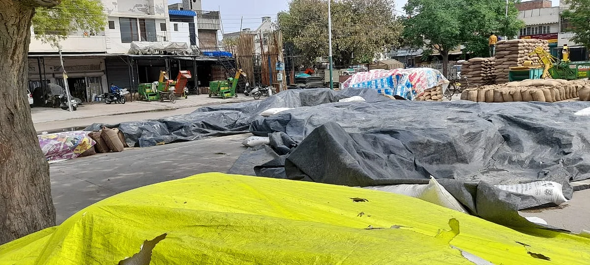 खराब मौसम के मद्देनजर मंडियों में गेहूँ की संभाल के लिए तरपालों के पुख्ता प्रबंध -जिला मंडी अफसर