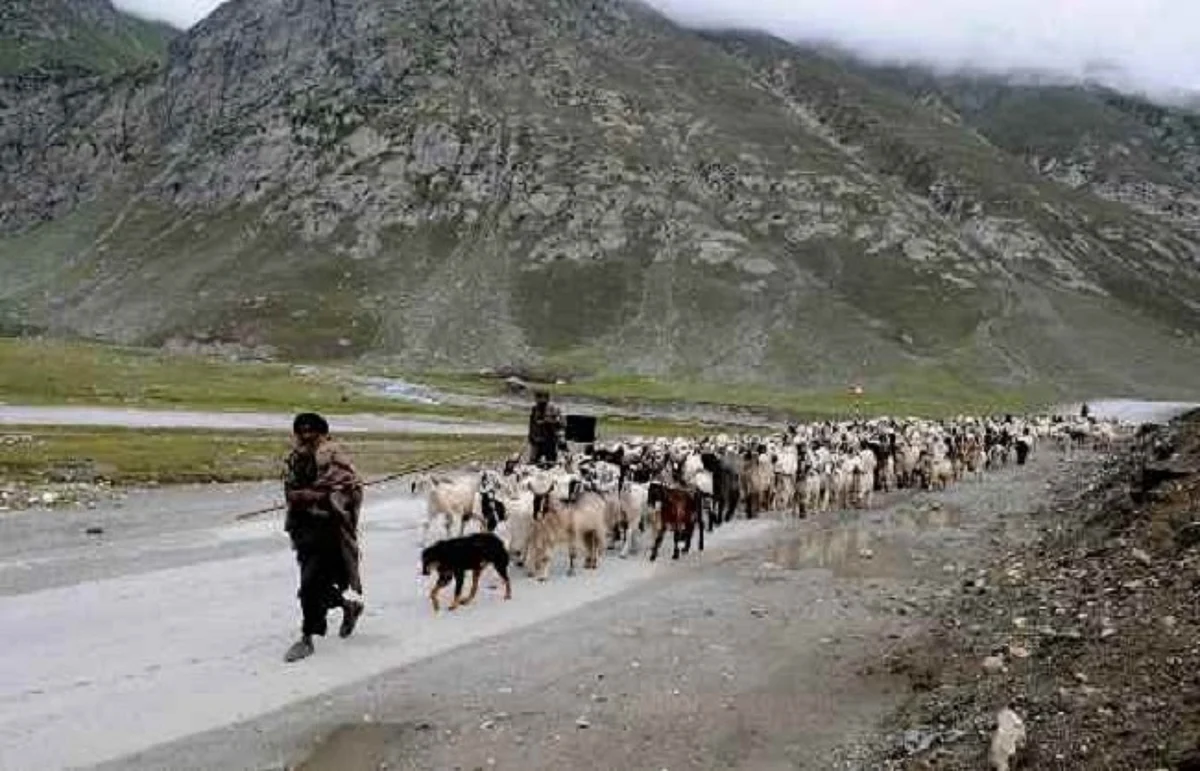 पैन्गोंग का दक्षिणी किनारा चरवाहों के लिए 'नो-मैन्स लैंड' घोषित