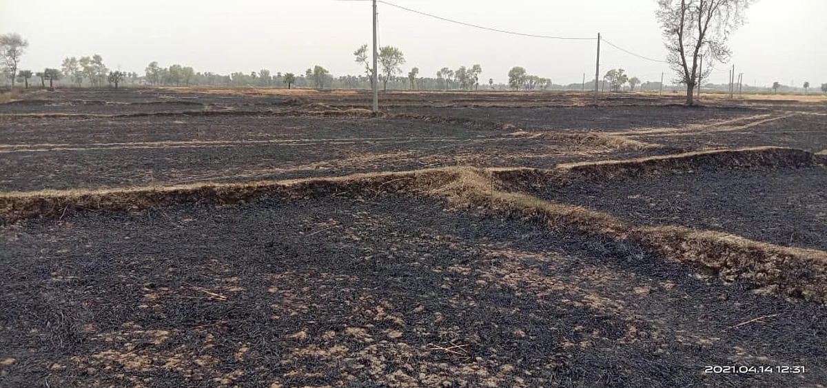 आगलगी में 40 बीघे में लगी गेहूं की फसल जलकर राख, मुआवजे की मांग