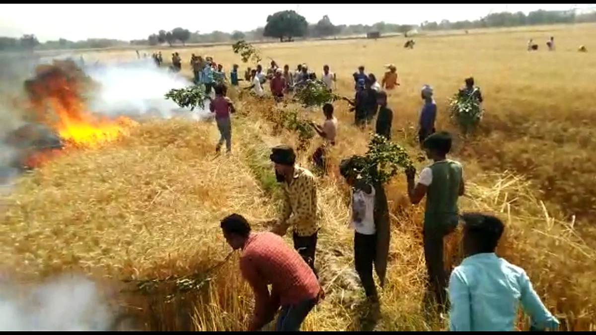 आग के ताण्डव से करीब सौ बीघा गेहूँ की खड़ी फसल जलकर खाक