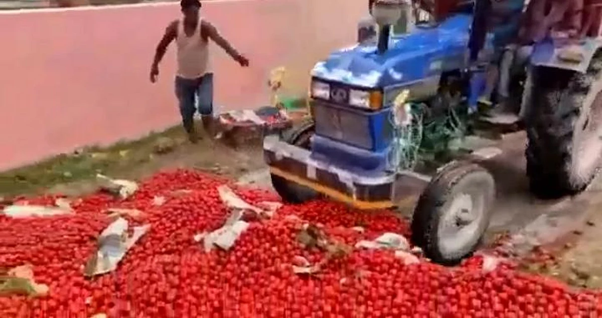 किसानों ने सड़को पर फेंका दर्ज़नों कैरेट टमाटर,वीडियो किया सोशल साइट्स पर वायरल