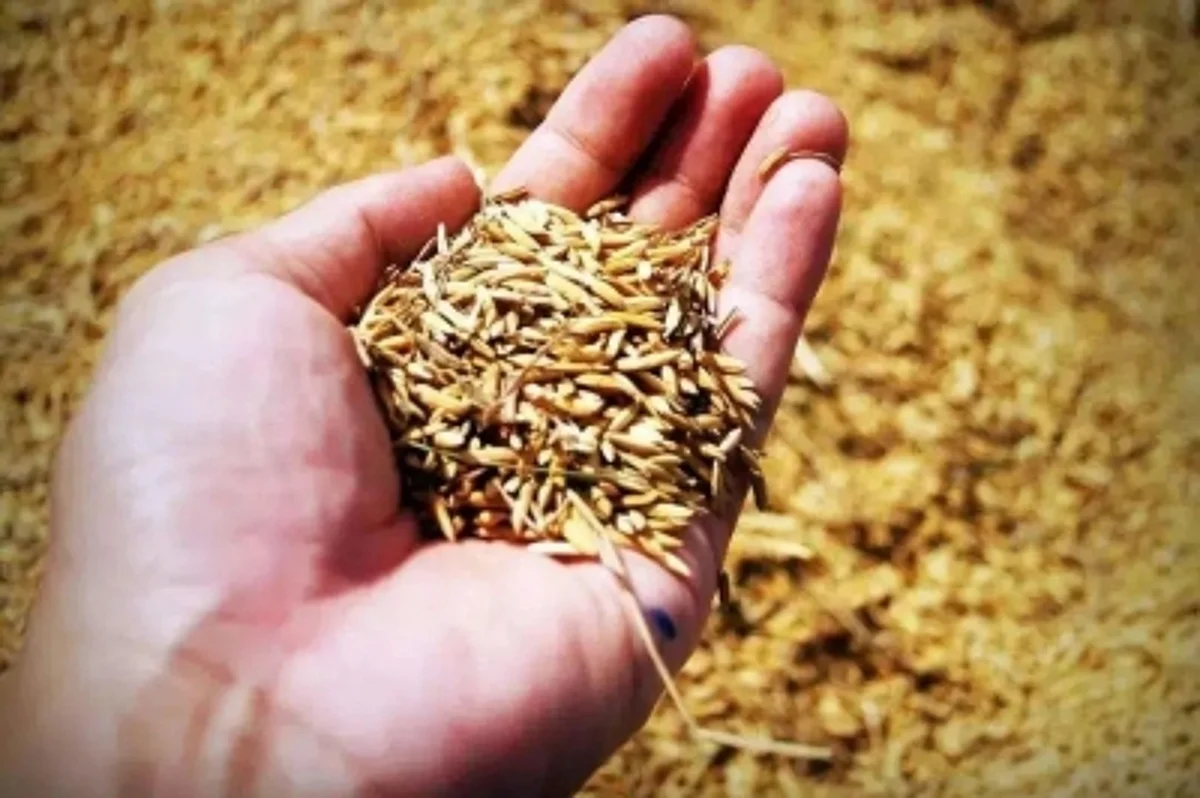 खाद्य सुरक्षा पर लगातार ध्यान दे रहा है चीन