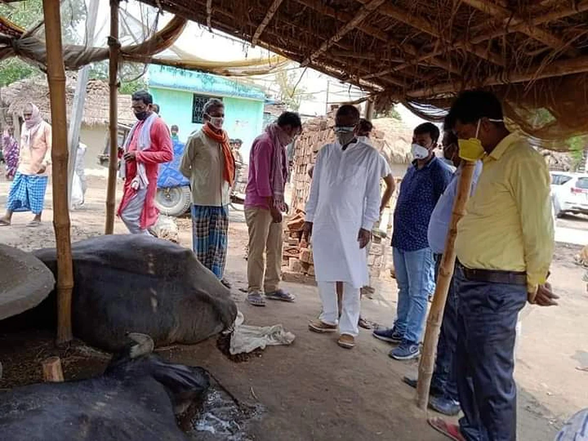 आकाशीय बिजली गिरने से दो भैंसा मरा, एक ग्रामीण घायल