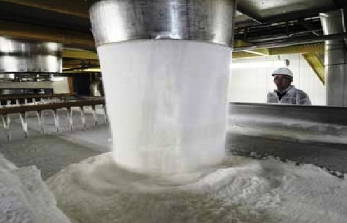 चालू सत्र में 15 मई तक 3 करोड़ 3.6 लाख टन चीनी का उत्पादन: इस्मा