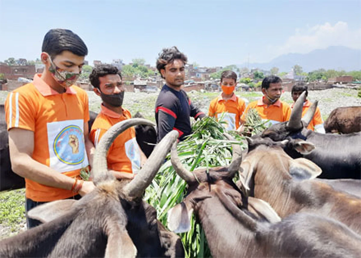 एक समाज श्रेष्ठ समाज संस्था कर रही गौसेवा