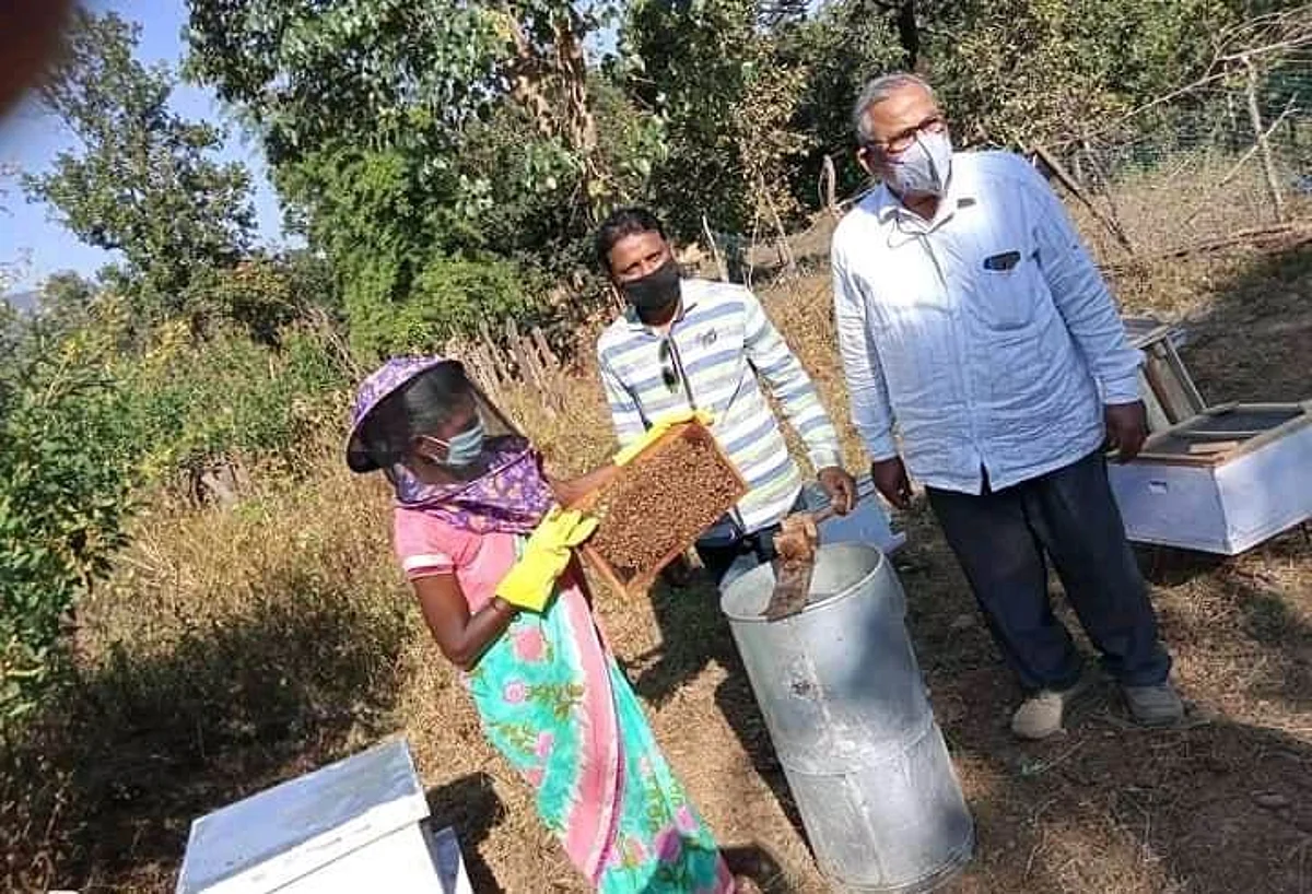 छत्तीसगढ़ : पहाड़ी गांवों में शहद निकाल महिलाएं अर्जित कर रही आय