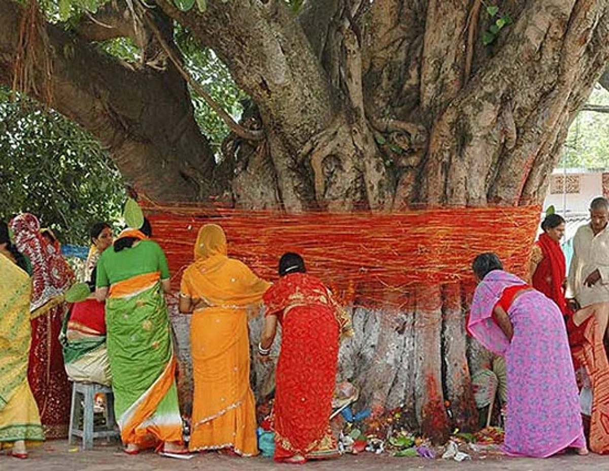 वत सावित्री व्रत 2021 - कब है और व्रत कथा