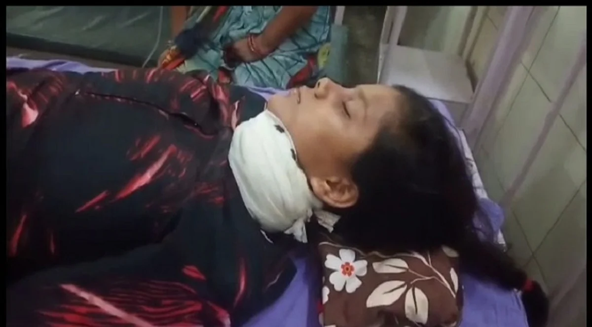 शोहदे ने बालिका को चाकू से गोदा, गंभीर हालत में भर्ती, जांच में जुटी पुलिस