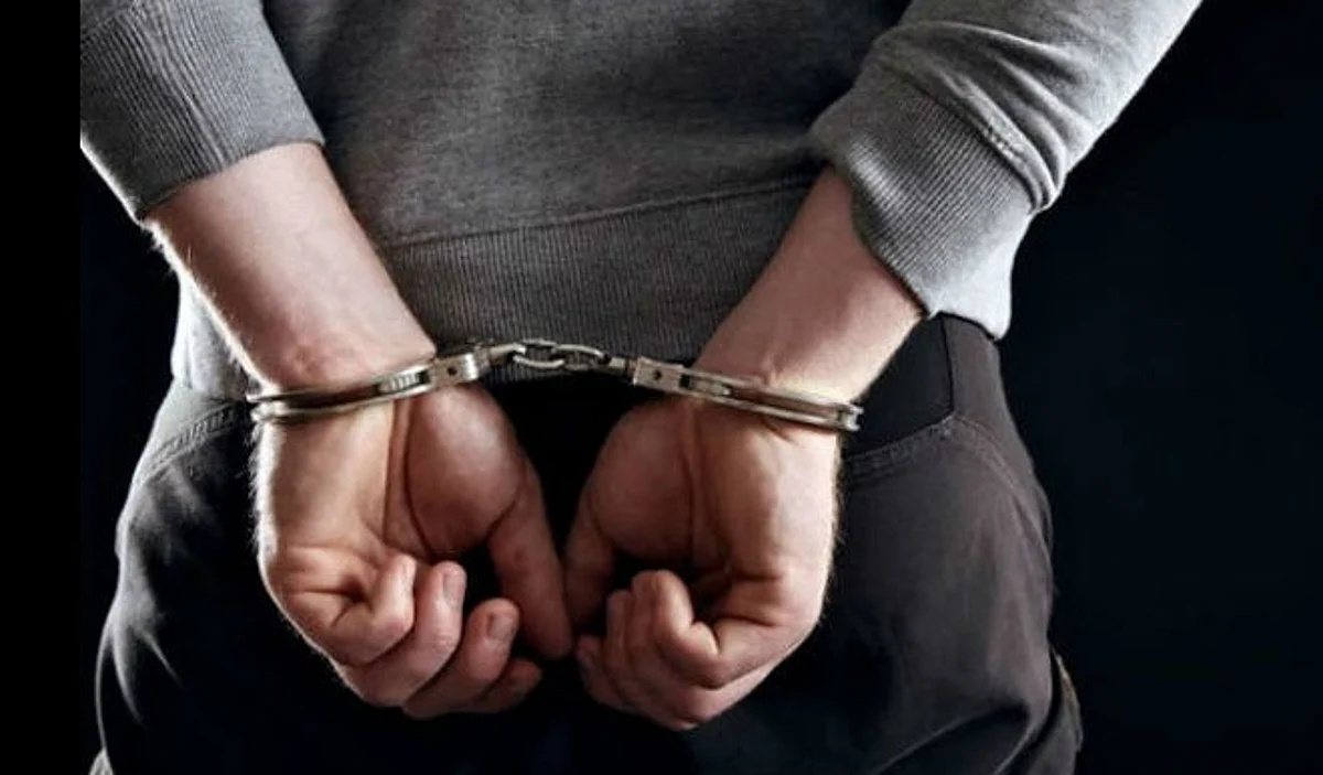 भारतीयों के बारे में आपत्तिजनक ट्वीट करने वाले कंपनी अधिकारी को हुई तीन हफ्ते की जेल