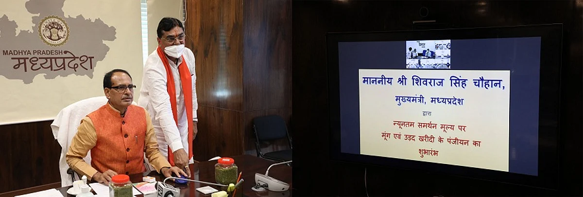 मप्र में 15 जून से आरंभ होगा मूंग का उपार्जन, कोरोना गाइडलाइन का पालन करना जरूरी