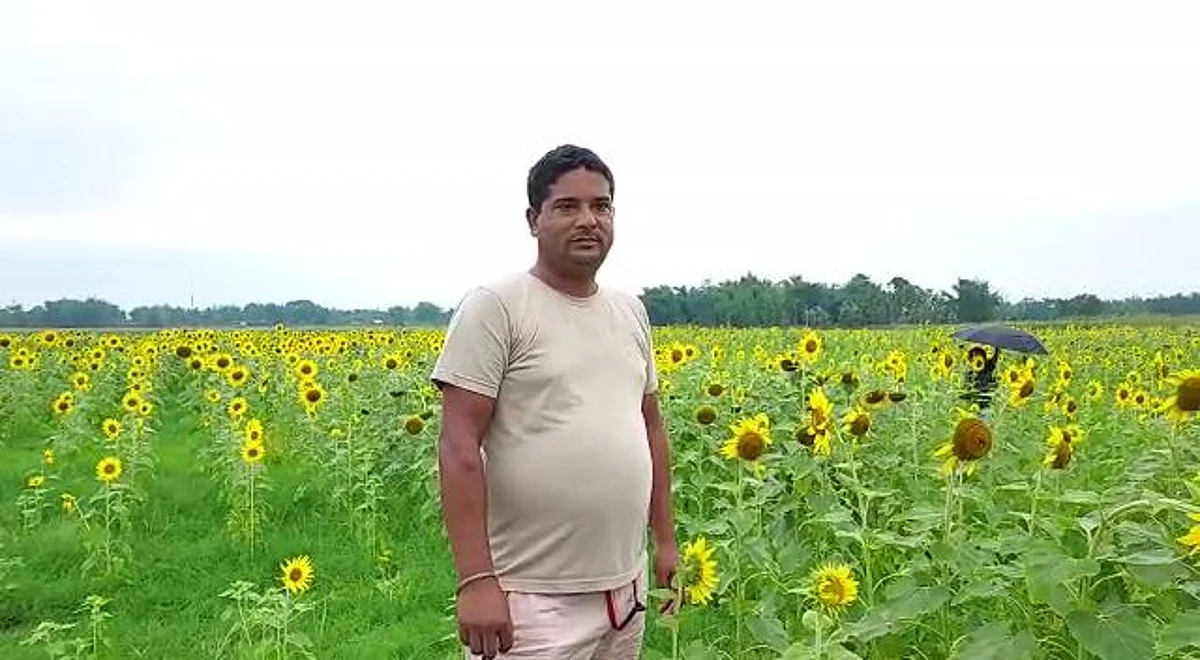 सूरजमुखी की फसल बनी लोगों के बना आकर्षण का केंद्र