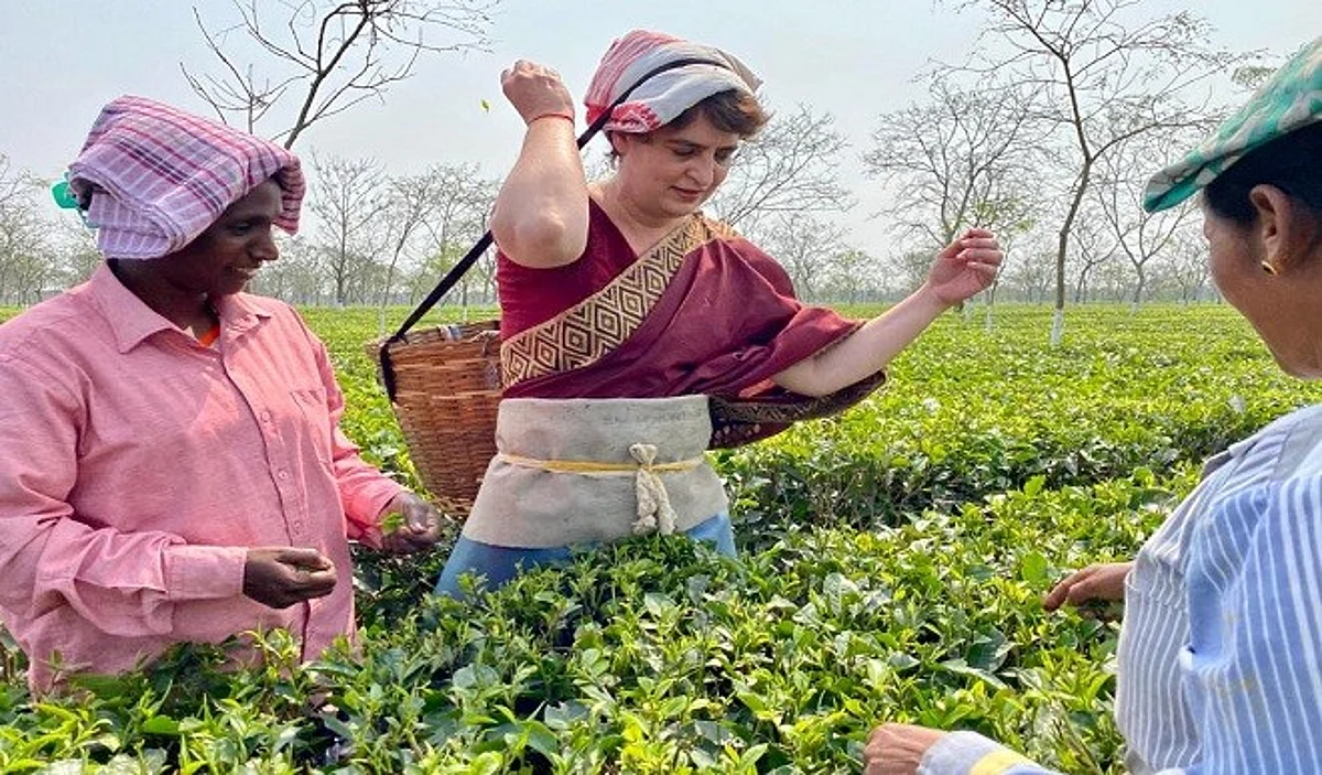 शिमला से ही राजनिति की व्यूह रचना रचेंगी प्रियंका गांधी