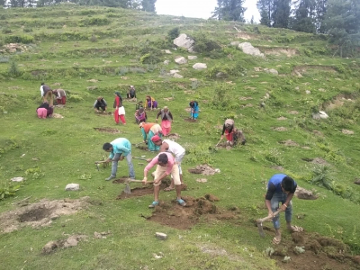 इम्यूनिटी बढ़ाने के मकसद से यूपी में चलेगा पौष्टिक पौधरोपण अभियान