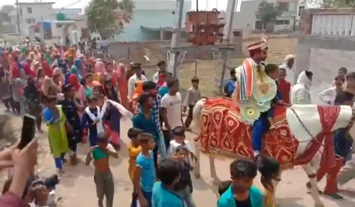 भिवानी में तीन सौ साल बाद घोड़ी पर सवार हुआ हेड़ी समाज का दूल्हा